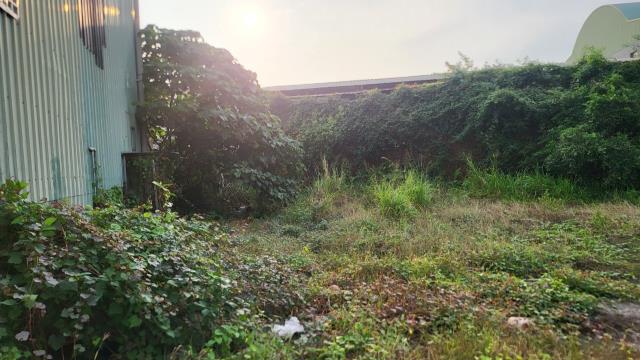 大社大路邊雙廠登工業廠房的第2張圖片