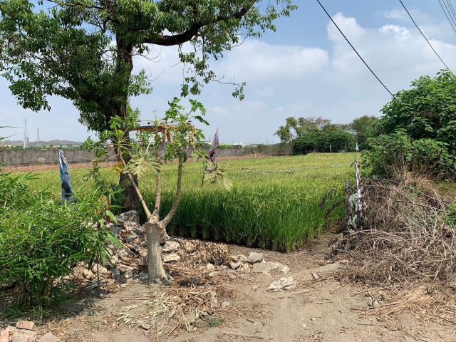 7+1工商不動產的物件介紹圖片