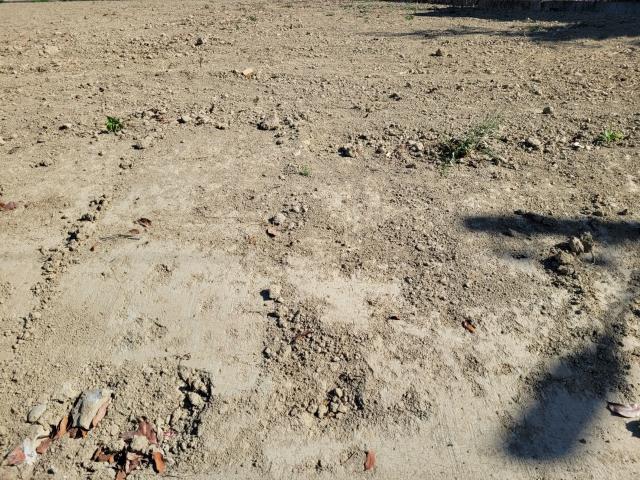 7+1工商不動產的物件介紹圖片