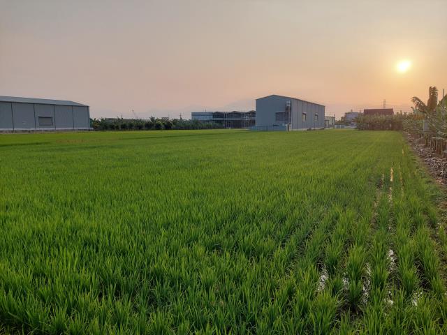 7+1工商不動產的物件介紹圖片