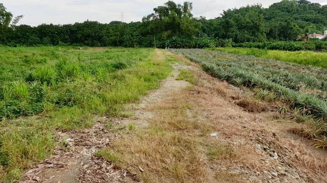 7+1工商不動產的物件介紹圖片