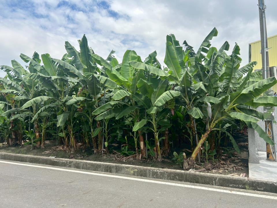 7+1工商不動產的物件介紹圖片