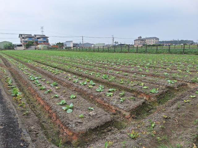 7+1工商不動產的物件介紹圖片