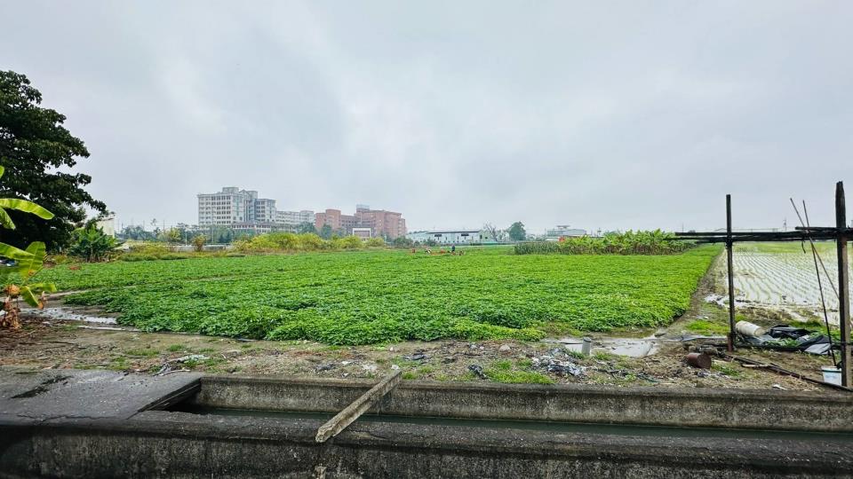 7+1工商不動產的物件介紹圖片