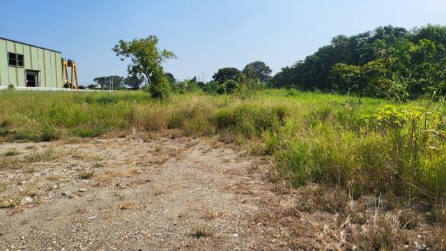 7+1工商不動產的物件介紹圖片