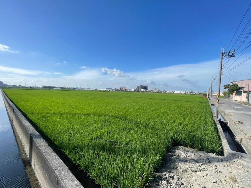 7+1工商不動產的物件介紹圖片