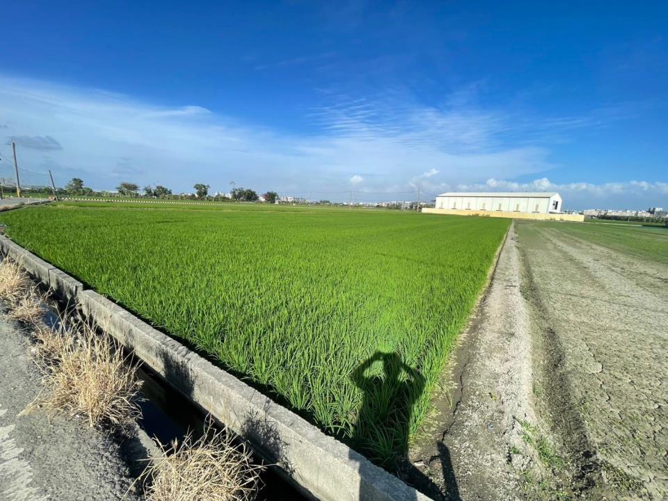 7+1工商不動產的物件介紹圖片