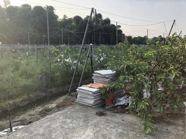 7+1工商不動產的物件介紹圖片