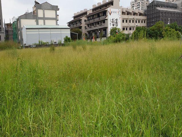 7+1工商不動產的物件介紹圖片