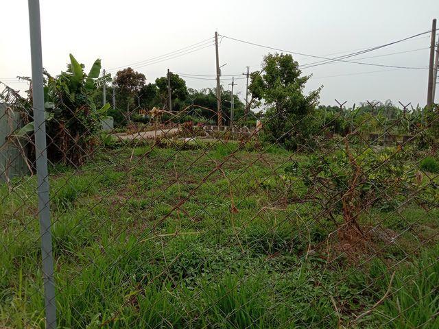 7+1工商不動產的物件介紹圖片