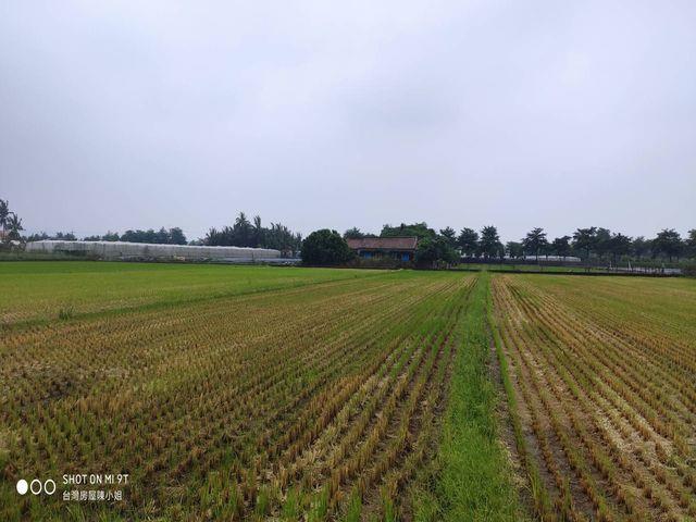 7+1工商不動產的物件介紹圖片