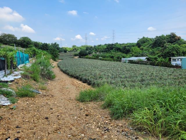 7+1工商不動產的物件介紹圖片