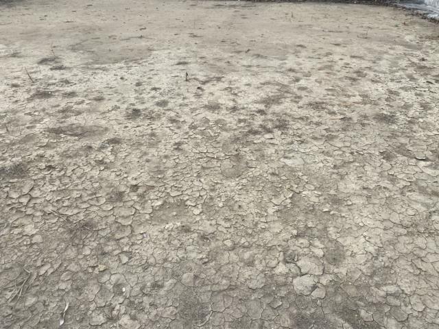 7+1工商不動產的物件介紹圖片