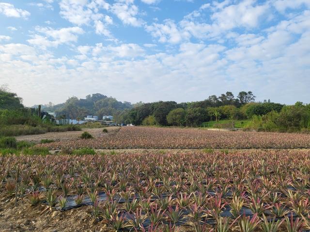 7+1工商不動產的物件介紹圖片