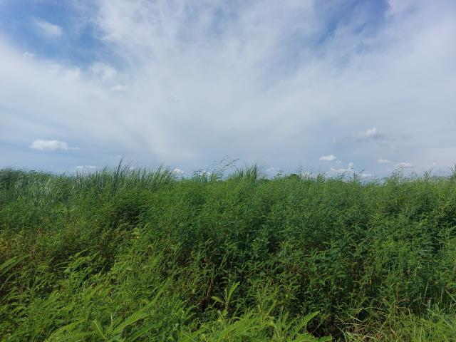 7+1工商不動產的物件介紹圖片