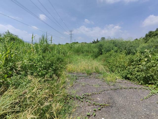 7+1工商不動產的物件介紹圖片
