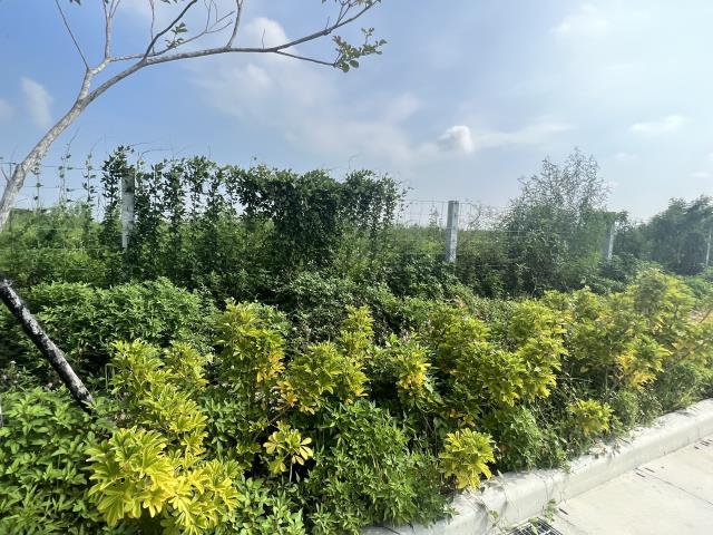 7+1工商不動產的物件介紹圖片