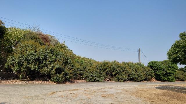 7+1工商不動產的物件介紹圖片