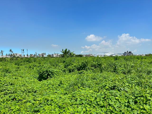7+1工商不動產的物件介紹圖片