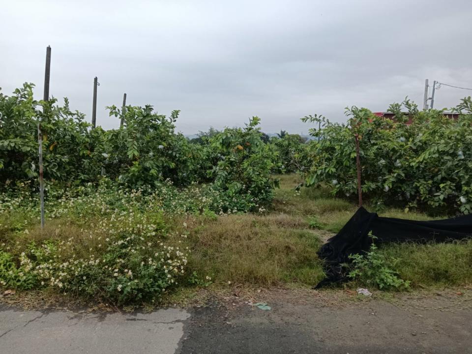 7+1工商不動產的物件介紹圖片