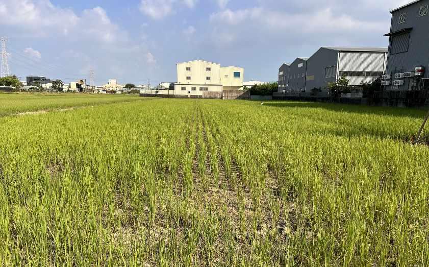 7+1工商不動產的物件介紹圖片